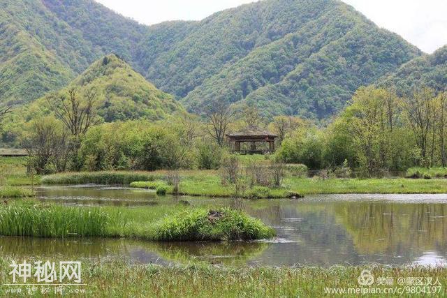 绿水青山神农架 ---有野人吗-43.jpg