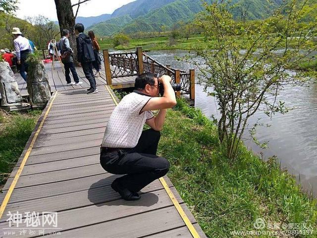 绿水青山神农架 ---有野人吗-54.jpg