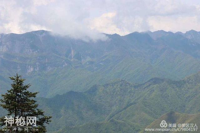 绿水青山神农架 ---有野人吗-61.jpg