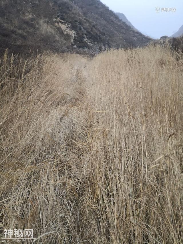 再谒石勒古墓，惊现石峡奇观-5.jpg