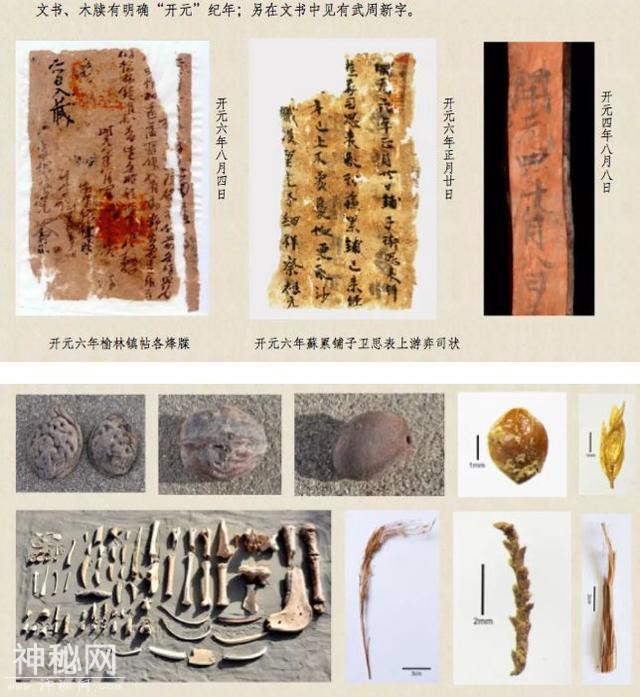 国家文物局发布四项重大考古成果！古墓里居然有这些……-44.jpg