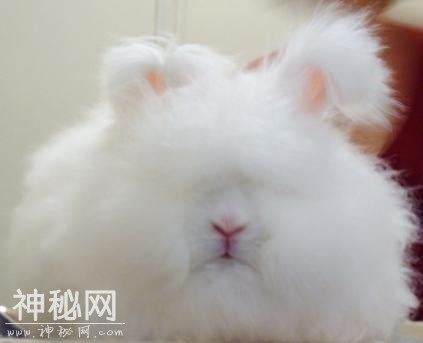 笑话九则！笑话仅仅是好笑吗？太内涵-2.jpg