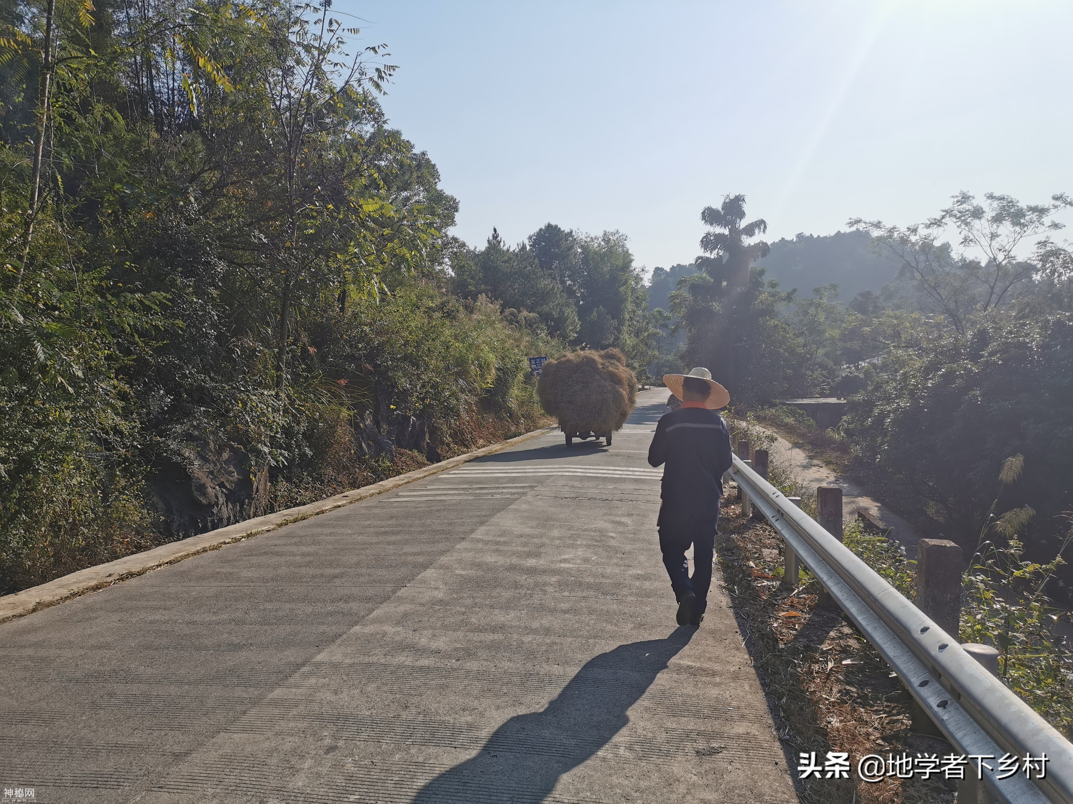 广西南宁市隆安县-车手老大爷、恐怖土狗群、可演鬼片香蕉林-14.jpg