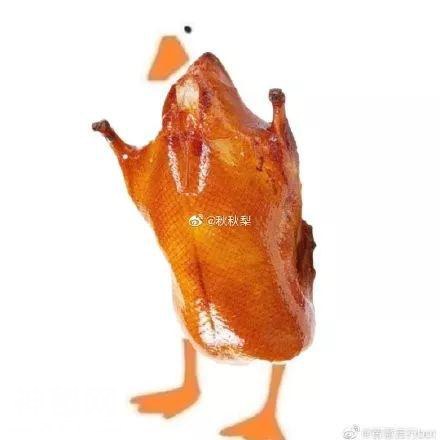给鸭子画身体火了！网友纷纷变身“毕加索”，画风也是一言难尽……-25.jpg