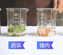 下水道突然堵了，别用热水冲！教你一小招，一倒，轻松疏通不求人-18.jpg