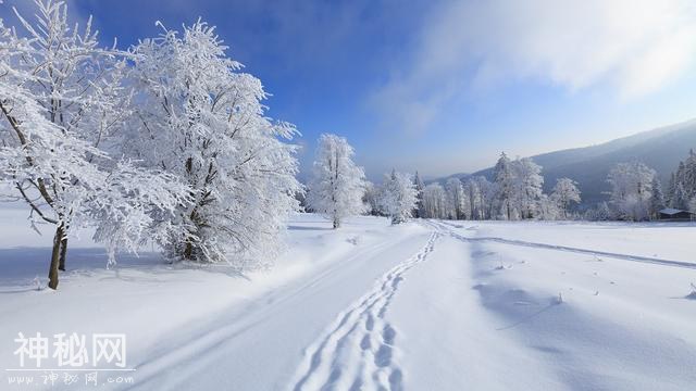 小雪节气的习俗你知道多少？-5.jpg