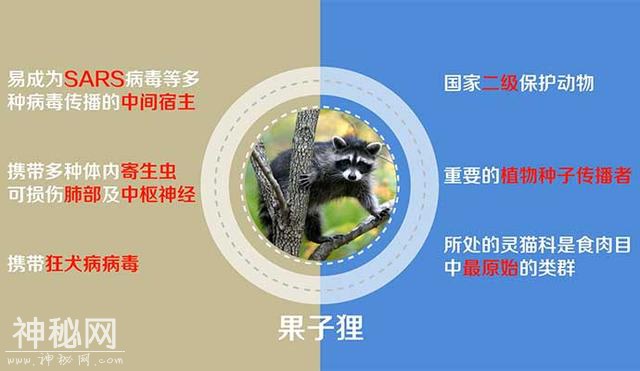 野生动物的“身体密码”：一面天使 一面魔鬼-1.jpg