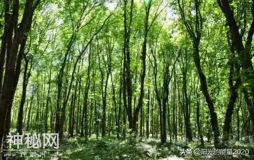 地理赏析 | 中国20个神秘的地理现象-19.jpg