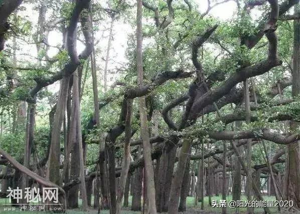 地理赏析 | 中国20个神秘的地理现象-20.jpg