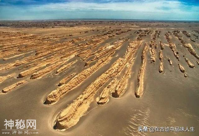 死亡之海的罗布泊，许多人冒险去捡石头，最高一颗卖200万-4.jpg