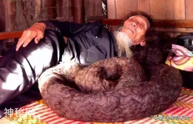 地球上还有这样的奇人：真是开了眼界了-15.jpg