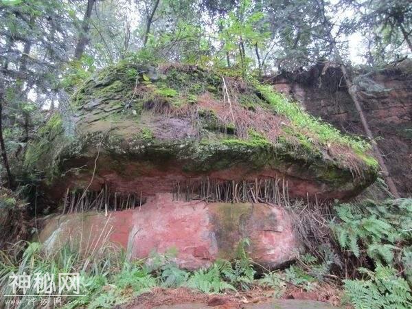 古人为什么用小树枝撑着山：古老风俗流传千年，许多年轻人不清楚-2.jpg