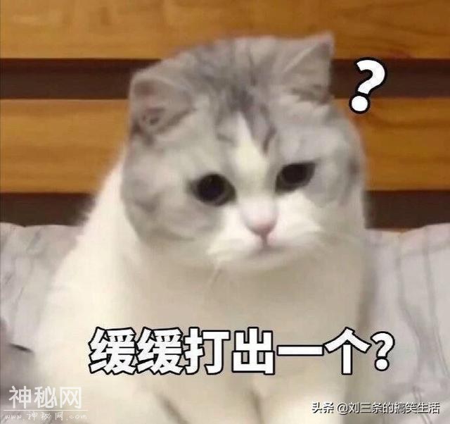 笑话八则：女神：来我家吧，没人。敲了一个小时后，发现真的没人-3.jpg