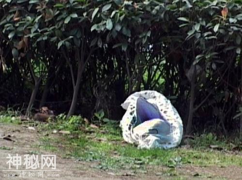 故事：灵异鬼故事：你到底是谁-1.jpg