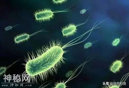 人体存在90万亿细菌，人类该如何和它们相处？-9.jpg