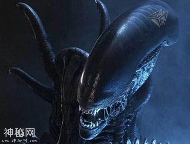外星生命有几种形态？趋同进化暗示人形生物比较智慧-1.jpg