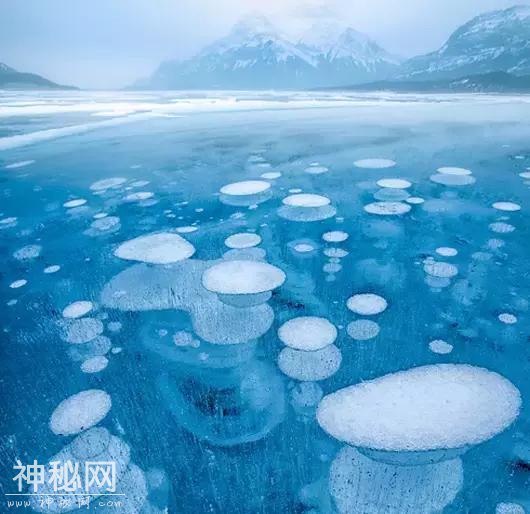 14个最疯狂的自然现象-5.jpg