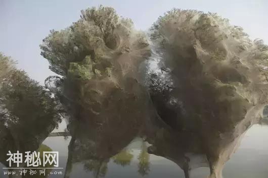 14个最疯狂的自然现象-18.jpg