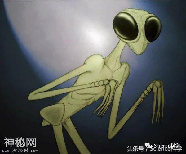 外星人到底长什么样？除了马大嘴，其实外星人不只一种！-7.jpg