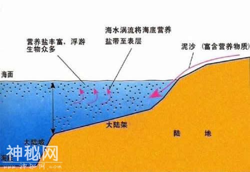 世界上6大特殊地理现象-7.jpg