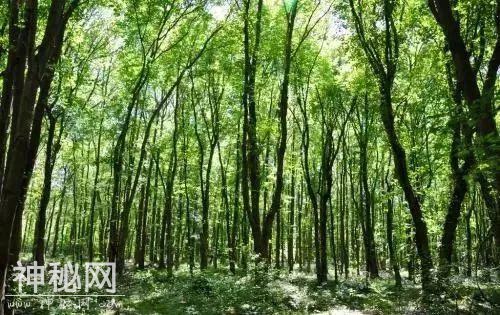 新学能 | 中国20个神秘的地理现象-19.jpg