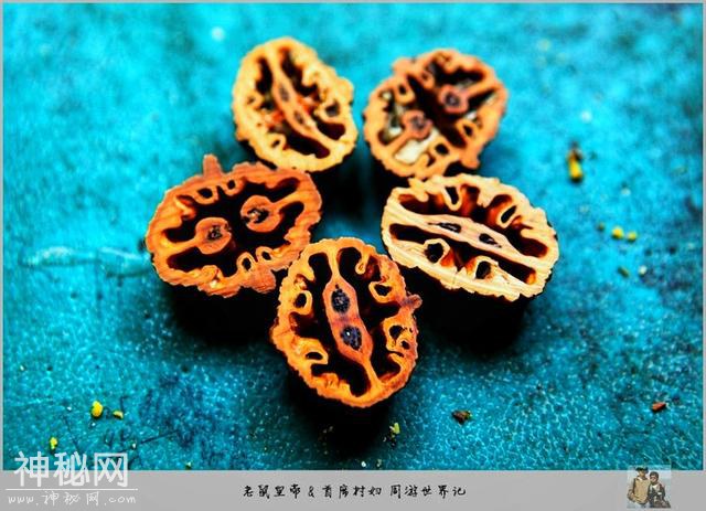 玄妙的北纬30度：神农架真的有野人吗？民间真假传闻信息量太大-12.jpg