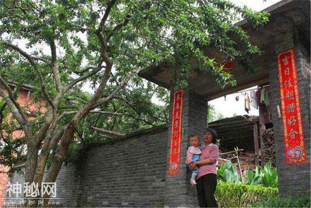 农村俗语：“房前不栽树，屋后不种花”啥意思？年轻人还知道吗？-2.jpg