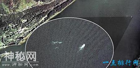 世界十大水怪 每只水怪都惊爆你眼球-5.jpg
