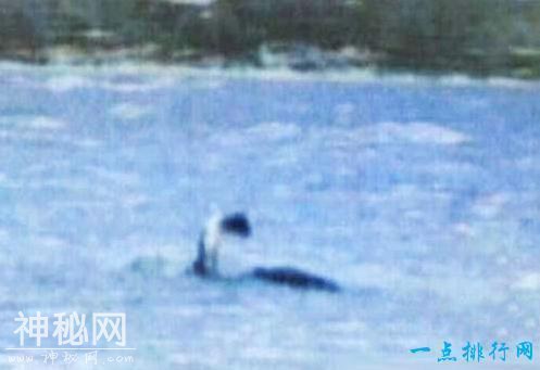 世界十大水怪 每只水怪都惊爆你眼球-7.jpg
