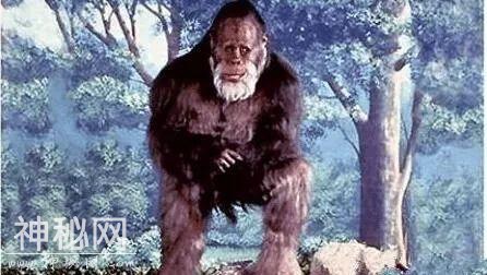 世界史上十大未知神秘生物：太平洋海蛇露出真身-2.jpg