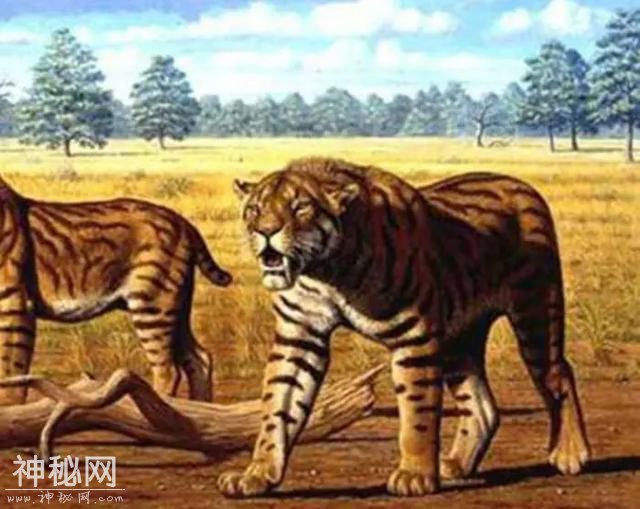 6个在中国出现的未知物种，第5种专家认为是史前生物-1.jpg