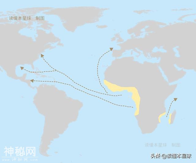 非洲超级城市拉各斯，如何成贫穷的黑暗中心？-4.jpg