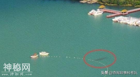 奇闻异事之喀纳斯湖水怪事件-4.jpg