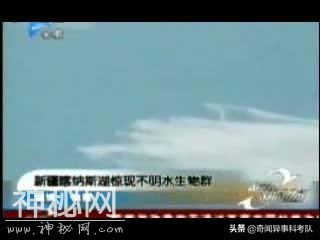 奇闻异事之喀纳斯湖水怪事件-16.jpg