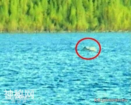 奇闻异事之喀纳斯湖水怪事件-15.jpg