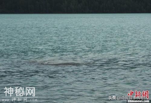 奇闻异事之喀纳斯湖水怪事件-14.jpg