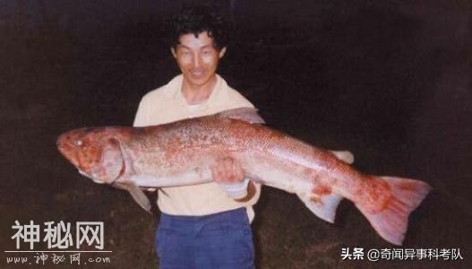 奇闻异事之喀纳斯湖水怪事件-20.jpg