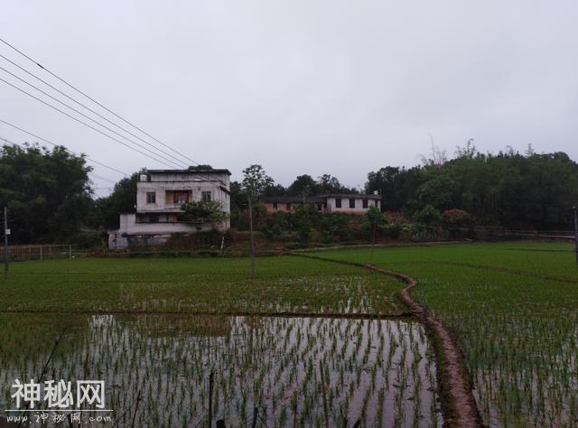 故事：孤儿半夜听到敲门声，一男一女站在门外：早将你记在心底-2.jpg