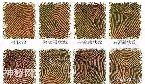 考古证据揭示，两千年前的战国时代中国已经懂得利用指纹进行破案-7.jpg
