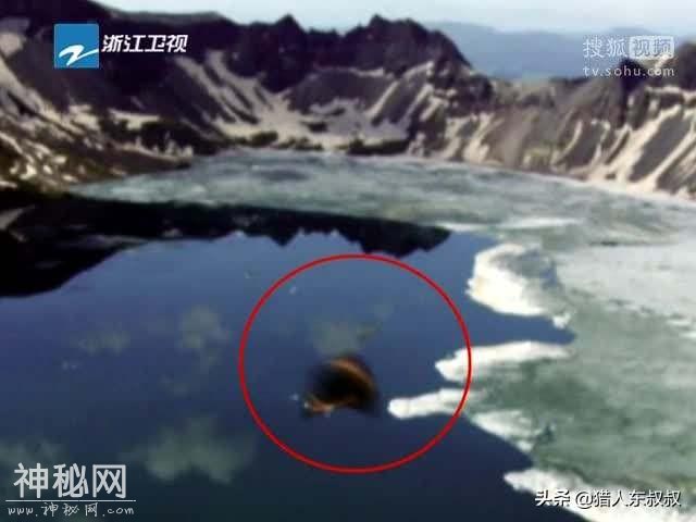 世界上所有水怪图片大全 尼斯湖水怪真的存在吗？-5.jpg