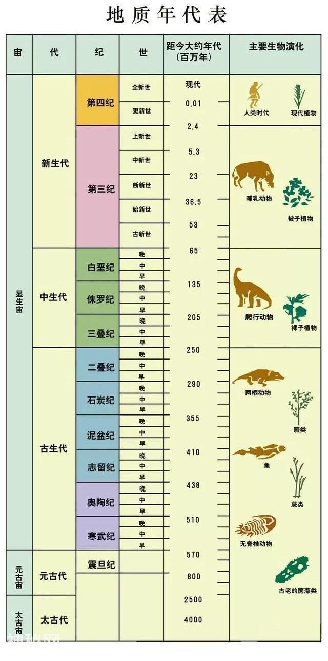 5分钟看完138亿年宇宙史-10.jpg