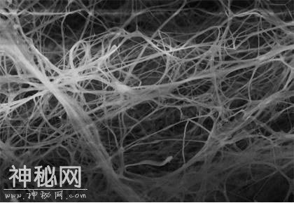 3D 全新细菌“墨水”生物打印可呈现任何三维结构-5.jpg