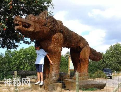 五大诡异的未知生物，在上世纪中国，人们捕获到图三-3.jpg