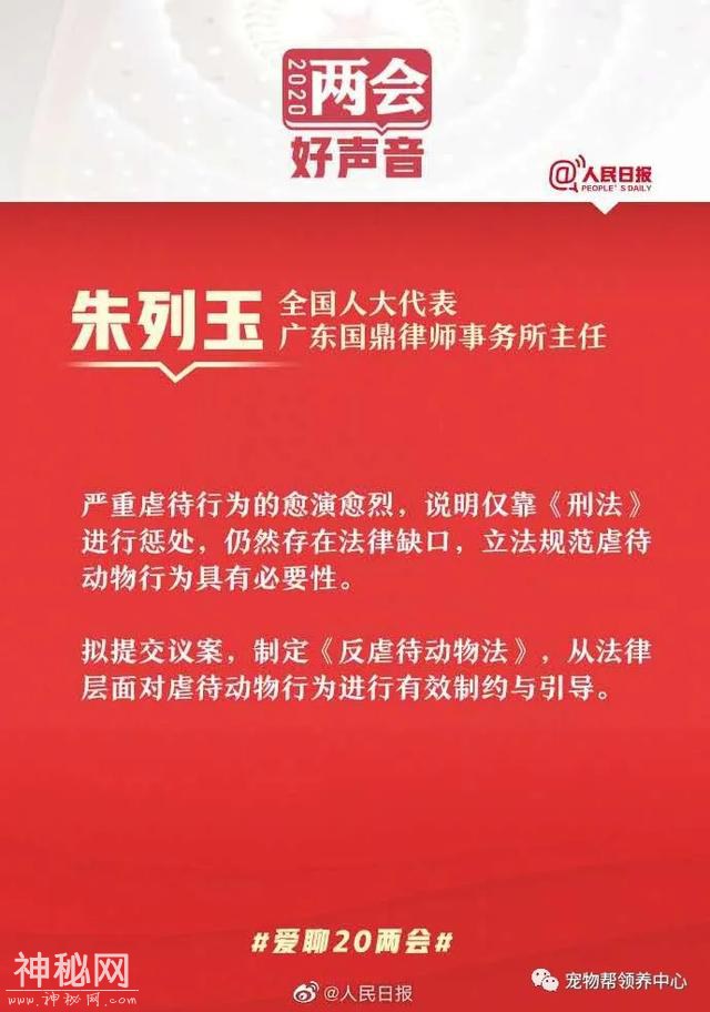 1.2亿关注！8成网友支持！反虐待动物法，我们共同的声音-6.jpg