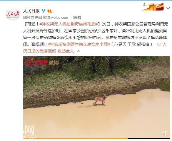 原来神农架不只有“野人”，还有更多的“传说”-2.jpg