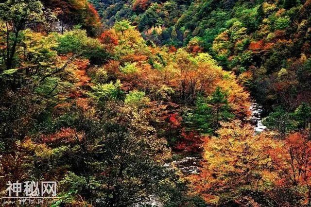 原来神农架不只有“野人”，还有更多的“传说”-6.jpg
