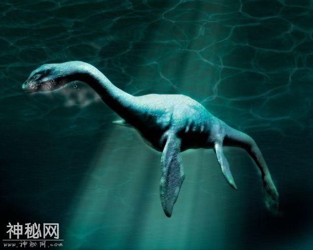 英国生物学家称尼斯湖水怪或真实存在，它的真身其实也是人类祖先-2.jpg