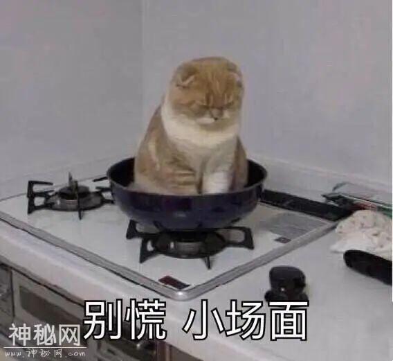 宝宝高烧3个月，全身充血皮疹！这“怪病”竟是全国首例！-3.jpg