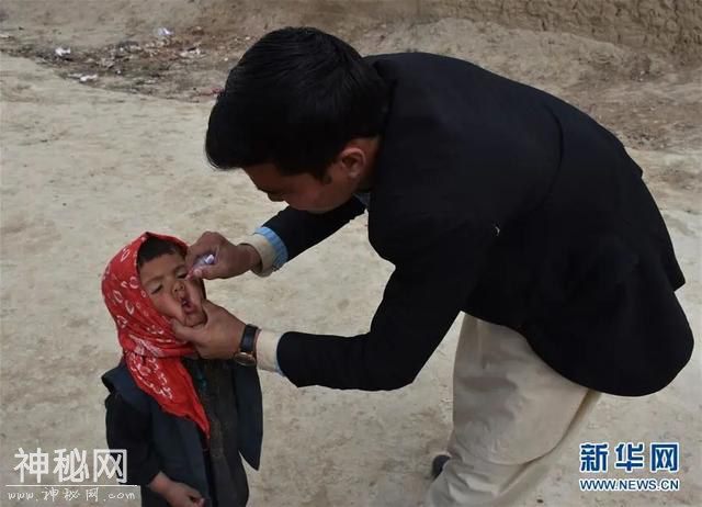 世界大瘟疫启示录丨小儿麻痹：与人类周旋3千多年，这个诡谲病毒靠什么“死灰复燃”-8.jpg