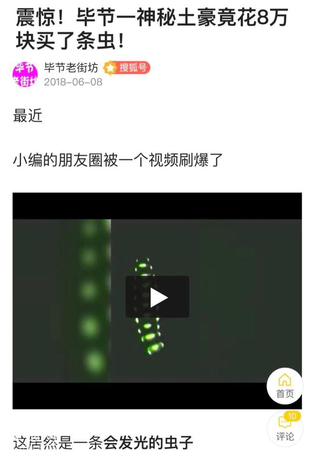 贵州桐梓市民发现草丛里神秘虫子，周身发绿色荧光-4.jpg